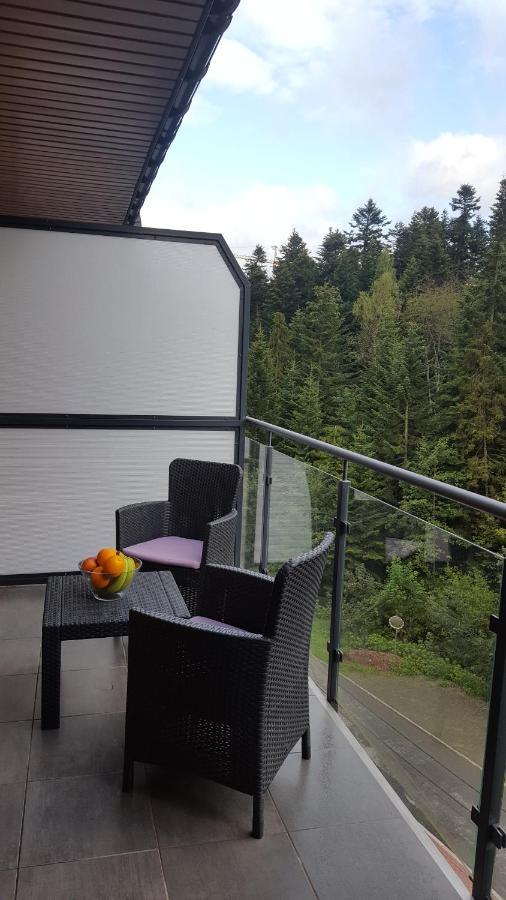 Apartament Dwupoziomowy Z Klimatyzacja Lägenhet Krynica-Zdrój Exteriör bild